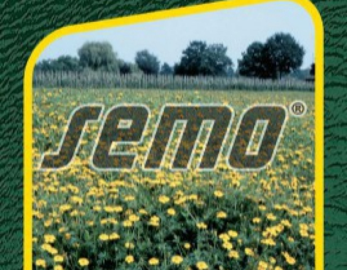 Semo Aksamietnica zersetzt Ground Control
