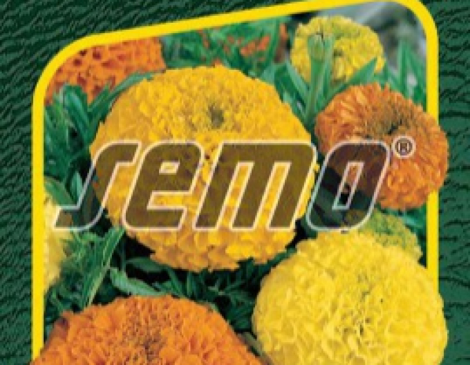 Semo Tagetes Double Grande Mixture