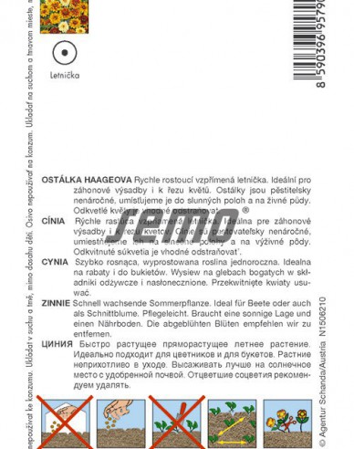 Semo Zinnie Haages Mix