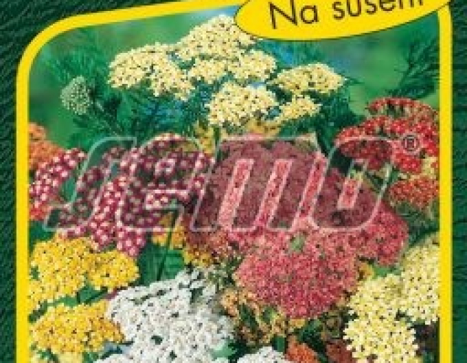Semo Schafgarbe Sommer-Pastell