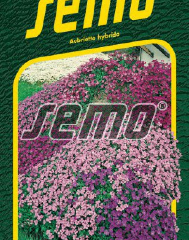 Semo Aubrieta Mix