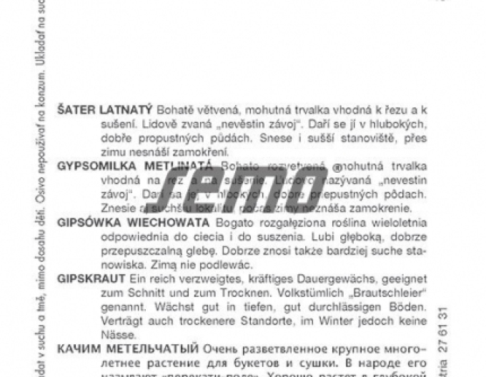 Saatgut Gypsomilla Weiß
