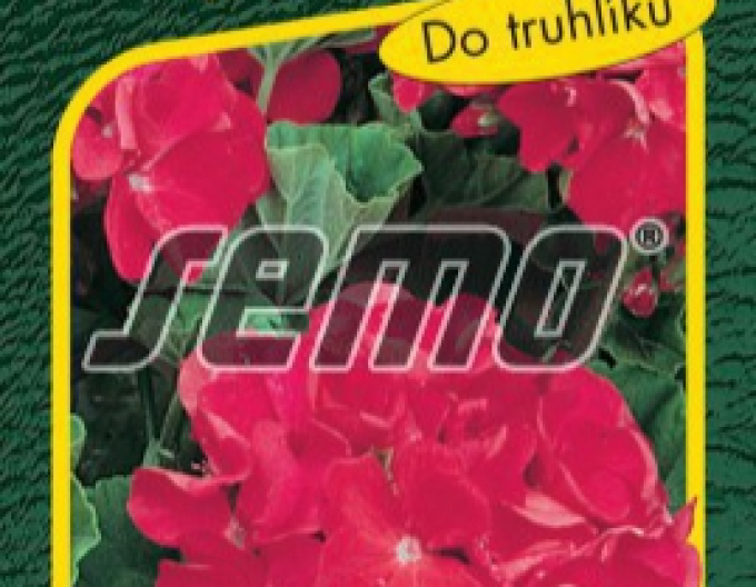 Semo Pelargonie Rot