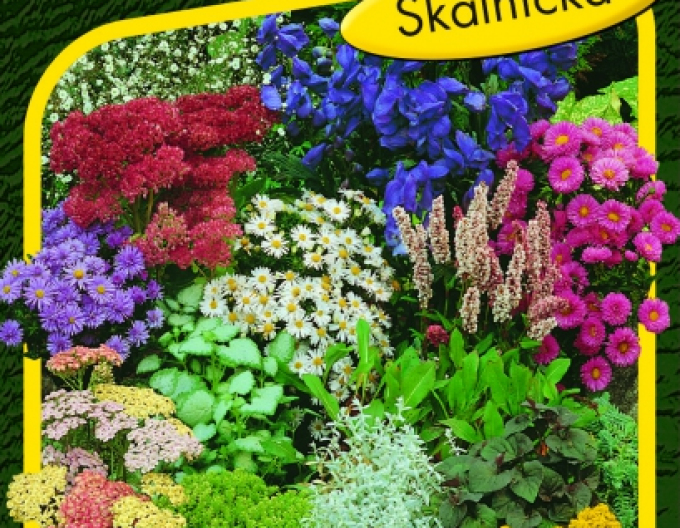Saat-Blumen-Mischung für Steingärten