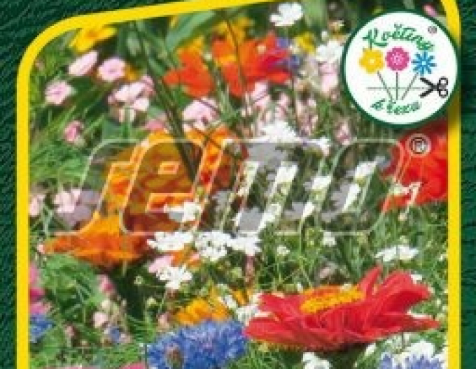 Semo-Blumenteppich Sommervase