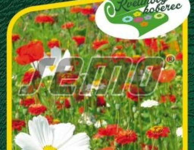 Semo Floral Teppich Erdbeeren mit Schlagsahne