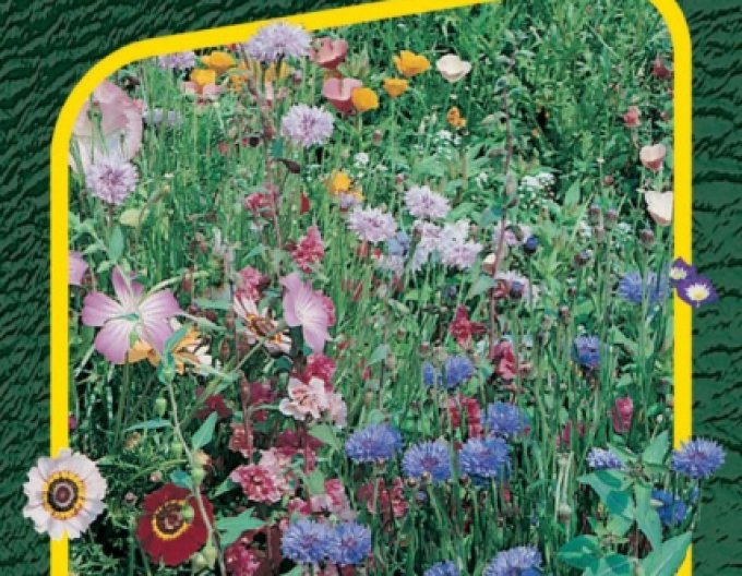 Semo Blumenteppich Japanischer Blumengarten