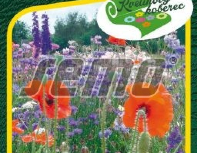 Semo Blumenteppich Gartenfestival