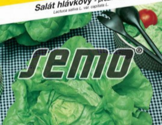 Semo Wintersalat Humil
