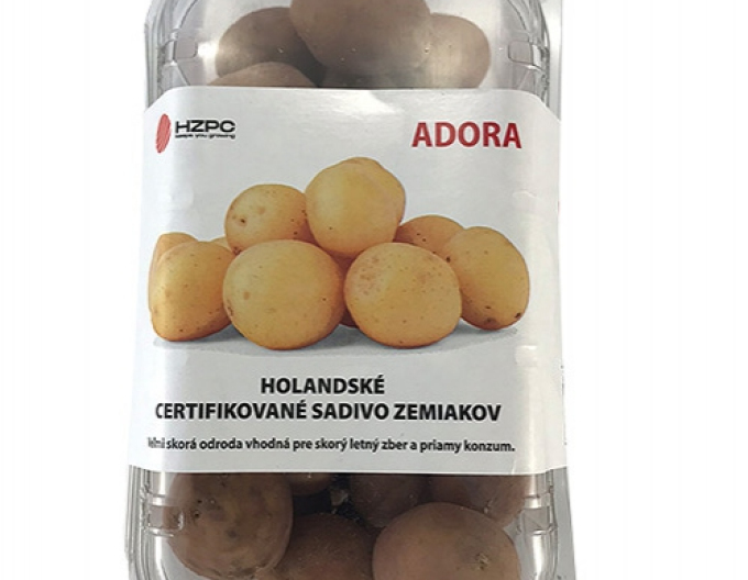 Pflanzkartoffeln Adora Wanne ca. 1kg