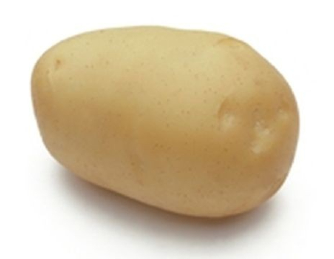 Pflanzkartoffeln Adora Wanne ca. 1kg