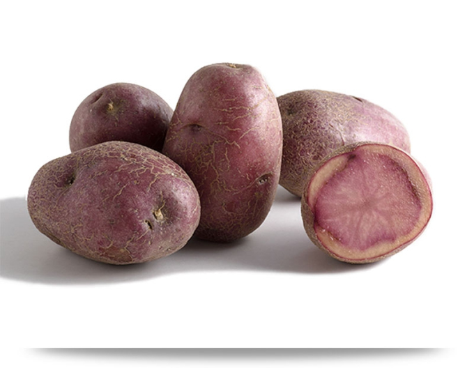 Pflanzkartoffeln Mulberry Beauty Kübel ca. 1kg