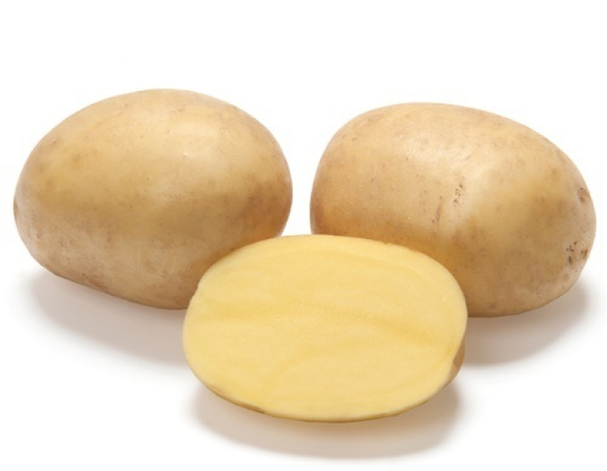 Pflanzkartoffeln Noblesse 5kg