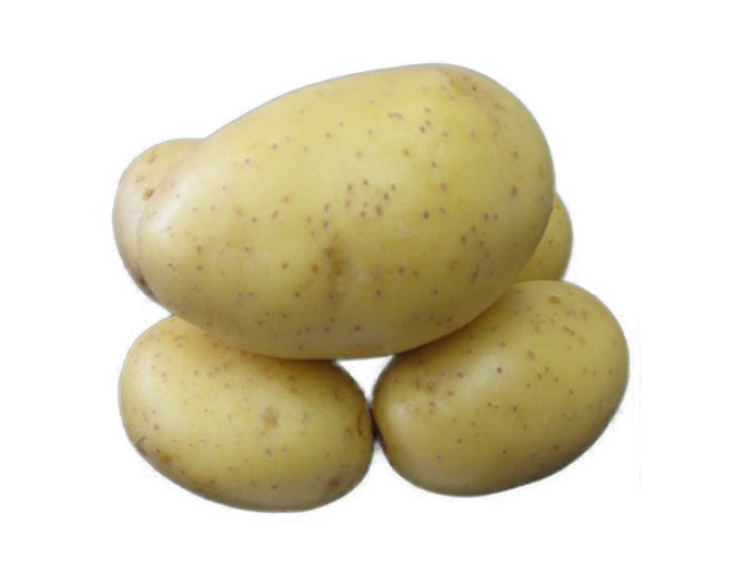 Pflanzkartoffeln Princess 25kg