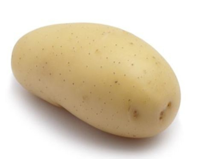 Pflanzkartoffeln Talentine 25kg