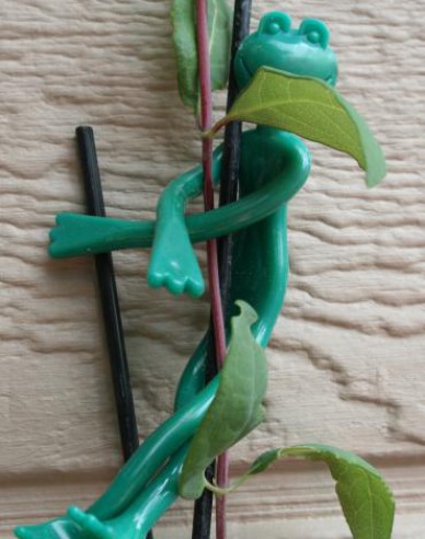Pflanzenclips