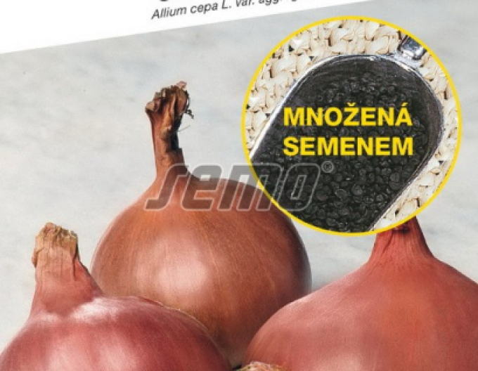Semo Zwiebel Camelot F1