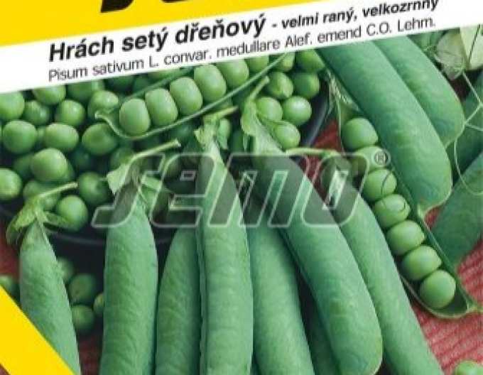 Semo Erbse Avola 50g
