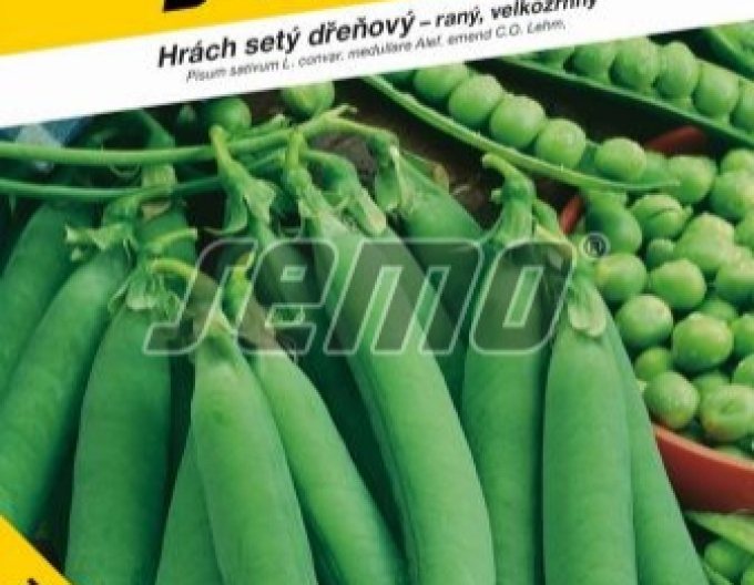 Semo Erbse Miracle of Kelvedon 50g