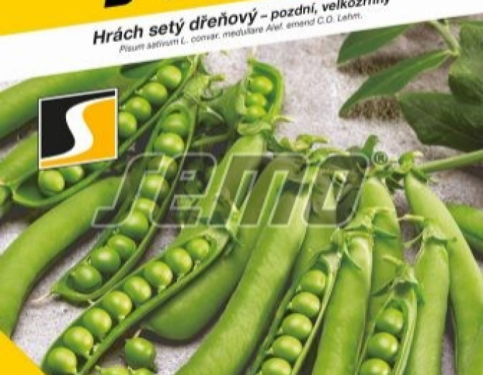 Semo Erbse Cedrik 250g