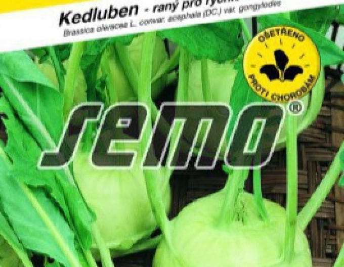 Semo Kohlrabi Luna