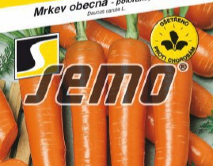 Semo Karotte Marquette
