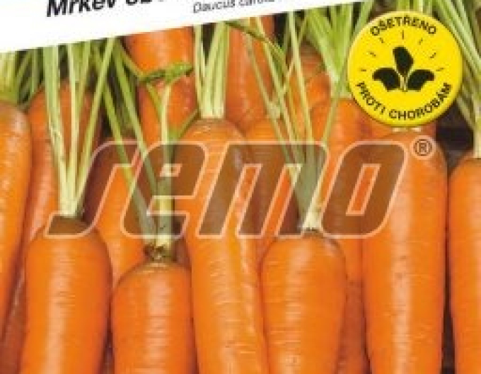 Semo Karotte Judita F1