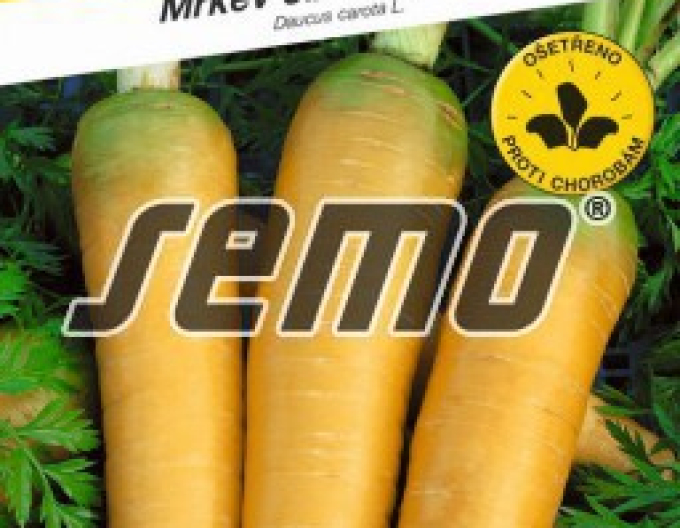Semo Karotte Taborská Žltá