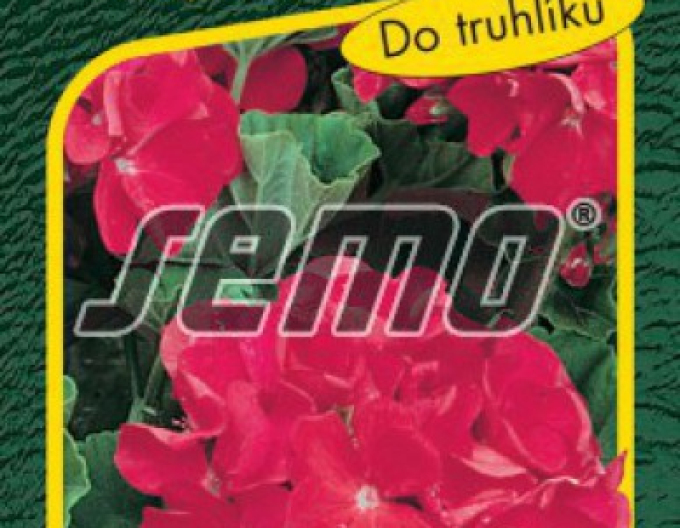 Semo Pelargonie Mix