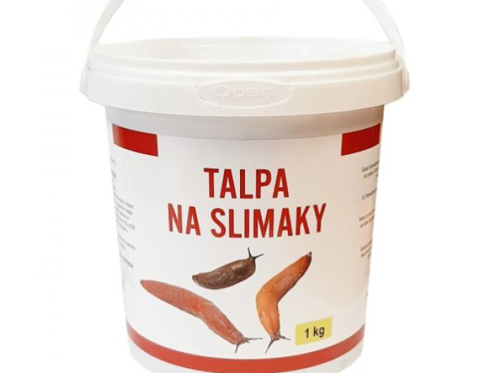 Teller für Schnecken 1kg