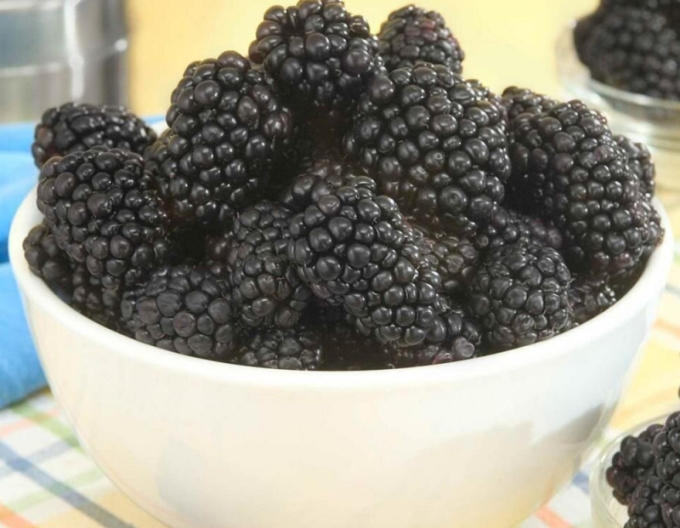 Brombeere Lochnes