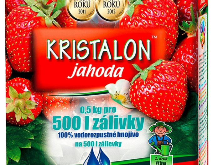 KRISTALON Erdbeere 500g