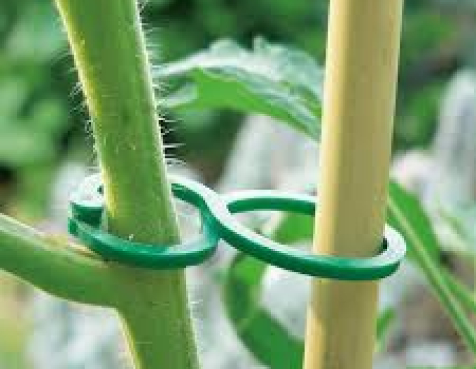GARDENLINE Baumschmuck 30 St.