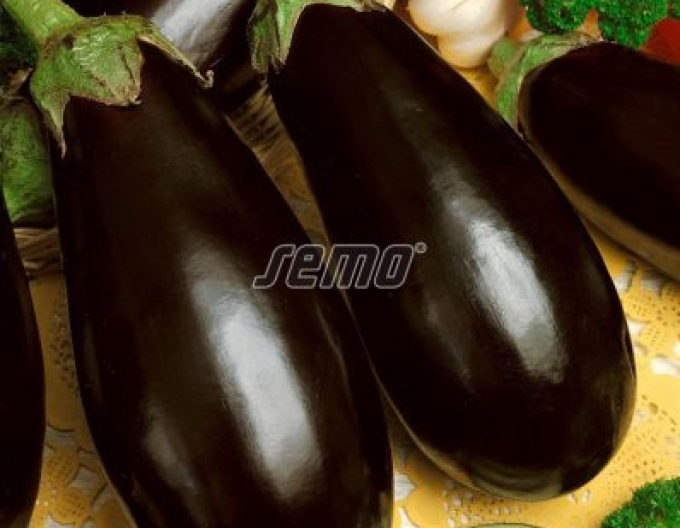 Semo Aubergine  Krasan