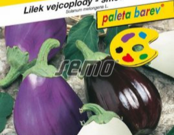 Semo Aubergine Mixcolor