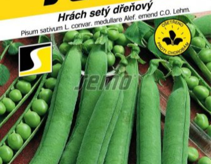 Semo Erbse Progress N.9 250g