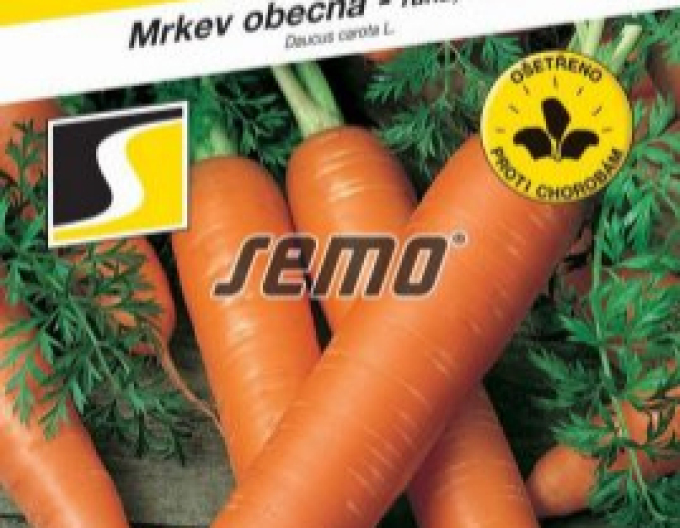 Semo Karotte Lenka