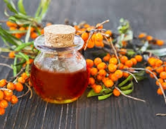 Sanddorn weiblich Frugana