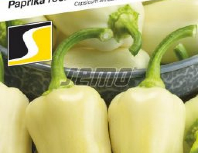Semo Paprika Amykus F1