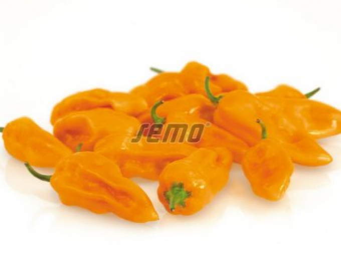 Semo Paprika  Bhut Jolokia Orange
