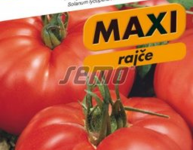 Semo Stabtomate Jergus F1