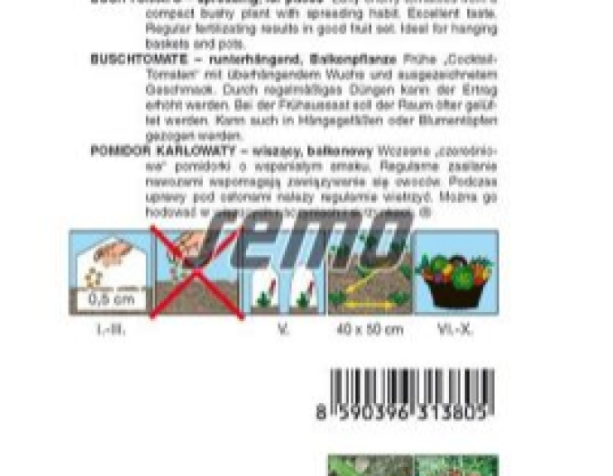 Semo Buschtomate Tumbling Tom Rot