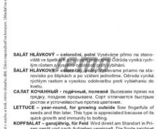 Semo Kopfsalat Safirus