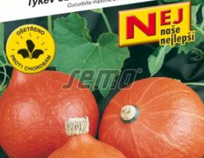 Semo Riesenkürbis Hokkaido Orange