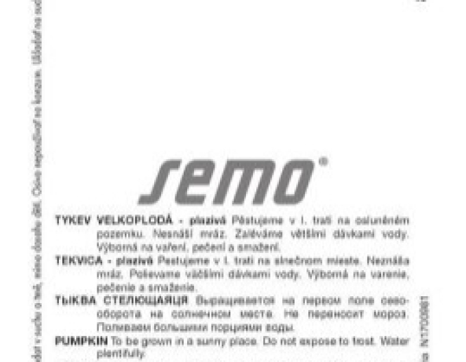 Semo Riesenkürbis Hokkaido Orange