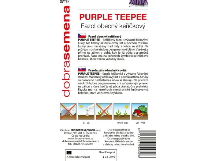 Dobrá semená Buschbohne Purple Teepee