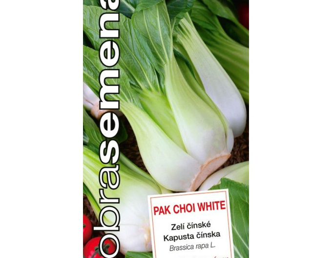 Dobrá semená Chinakohl Pak Choi White