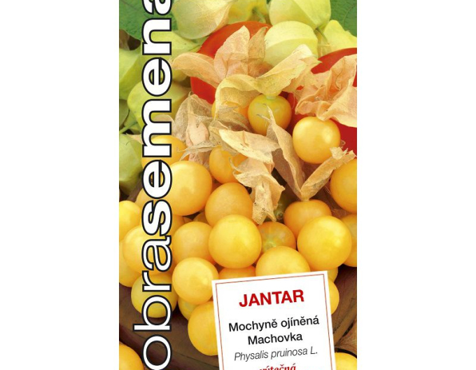 Dobrá semená Tomatillo  Amber