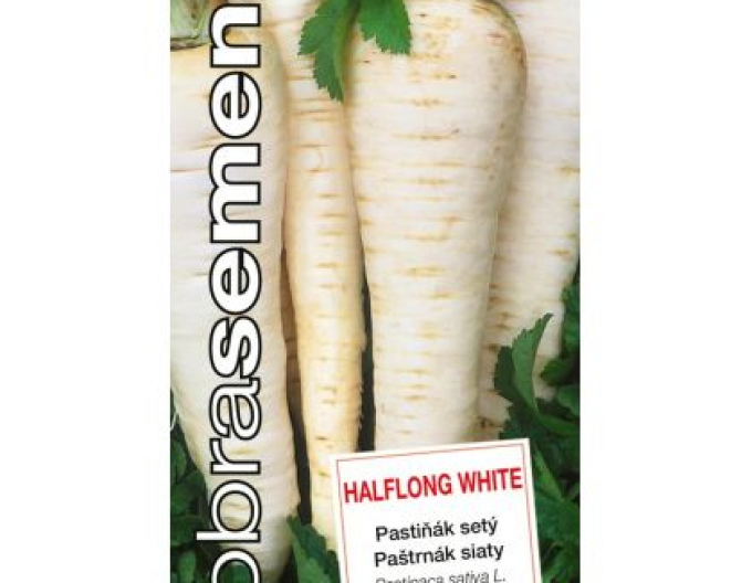 Dobrá semená  Pastinake Halflong White
