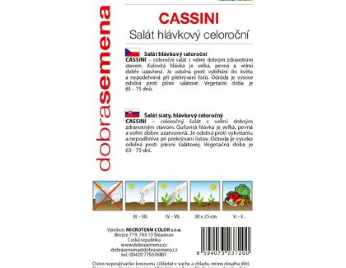 Dobrá semená Kopfsalat Cassini